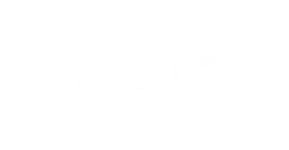 partners who work with Rummy Prime