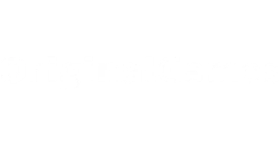 partners who work with Rummy Prime